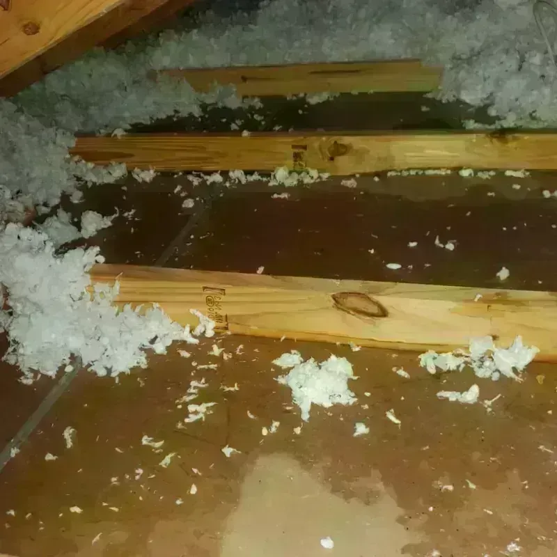 Attic Water Damage in Saint Stephens, NC